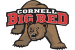 Click here to visit the Cornell Big Red Website