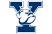 Yale Bulldogs